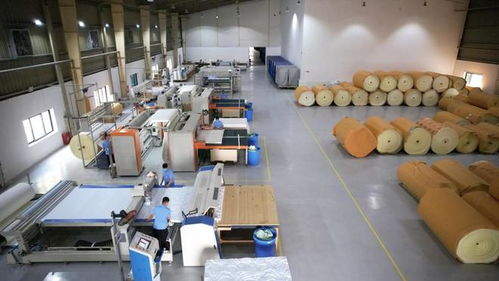 攜手共進(jìn)，共享發(fā)展機(jī)遇——海馬牌及軒琴居越南生產(chǎn)工廠開放日錄音制作紀(jì)實